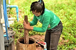 Ebony fruit crushing work