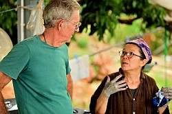 Indigo dye workshops