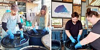 Natural indigo dye workshops 06 Jan 2024