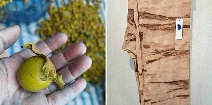 คากิชิบุ &mdash; การเดินทางที่ใช้เวลากว่า 15 ปี